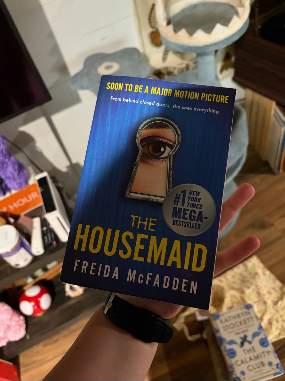 The Housemaid - Blue Paperback Novel